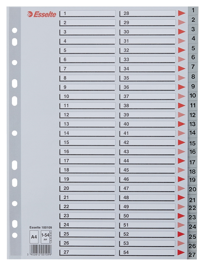 Esselte Register PP A4 1-54 šedá