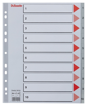 Esselte Register PP A4 maxi 1-10 sivý.