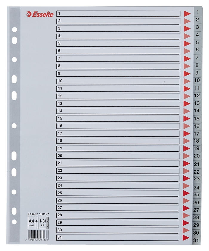 Esselte Register PP A4 maxi 1-31 sivá.