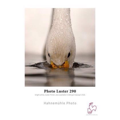 Hahnemühle Photo Luster 290 g/m² - 24" x 30 metra 